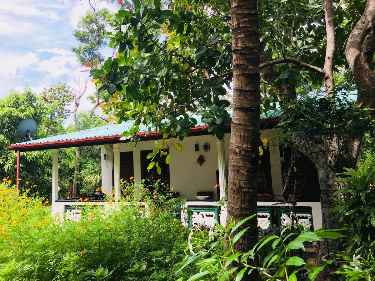 Sigiri Saman Home Stay Sigiriya Exterior foto