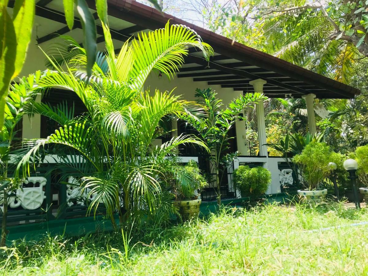 Sigiri Saman Home Stay Sigiriya Exterior foto